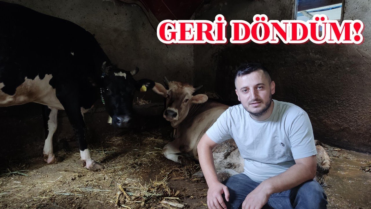 YOUTUBE'a GERİ DÖNDÜM! ÇİFTLİKTEKİ DEĞİŞİKLİKLER?? #koyun #tavuk #köpek #çiftlik #fyp #keşfet #köy