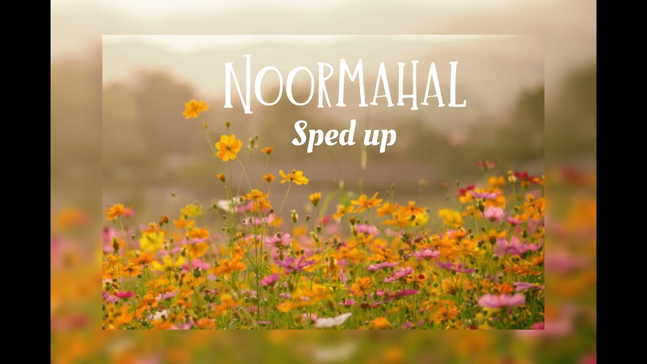 Noormahal - Chani Nattan (sped up)