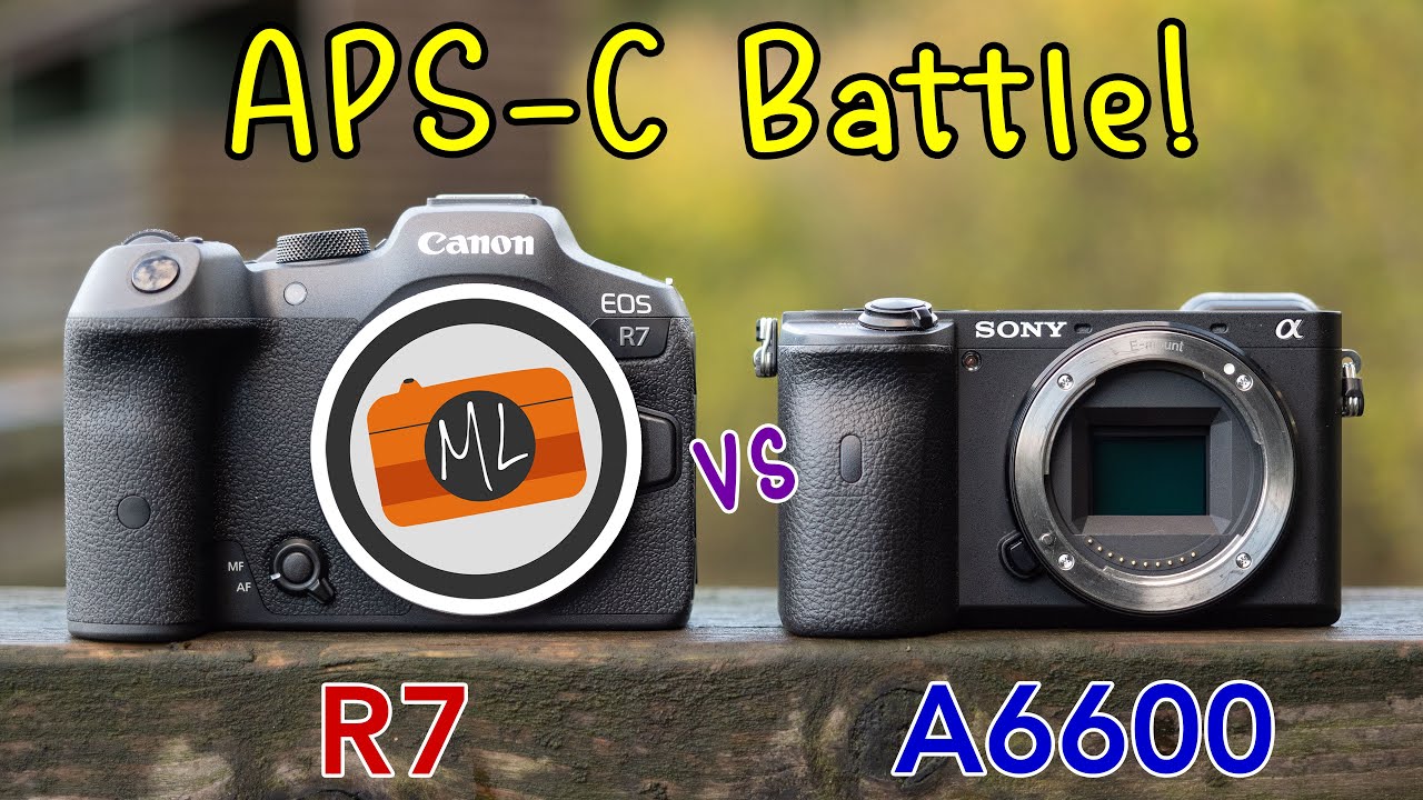 Canon R7 против Sony A6600 — полное сравнение