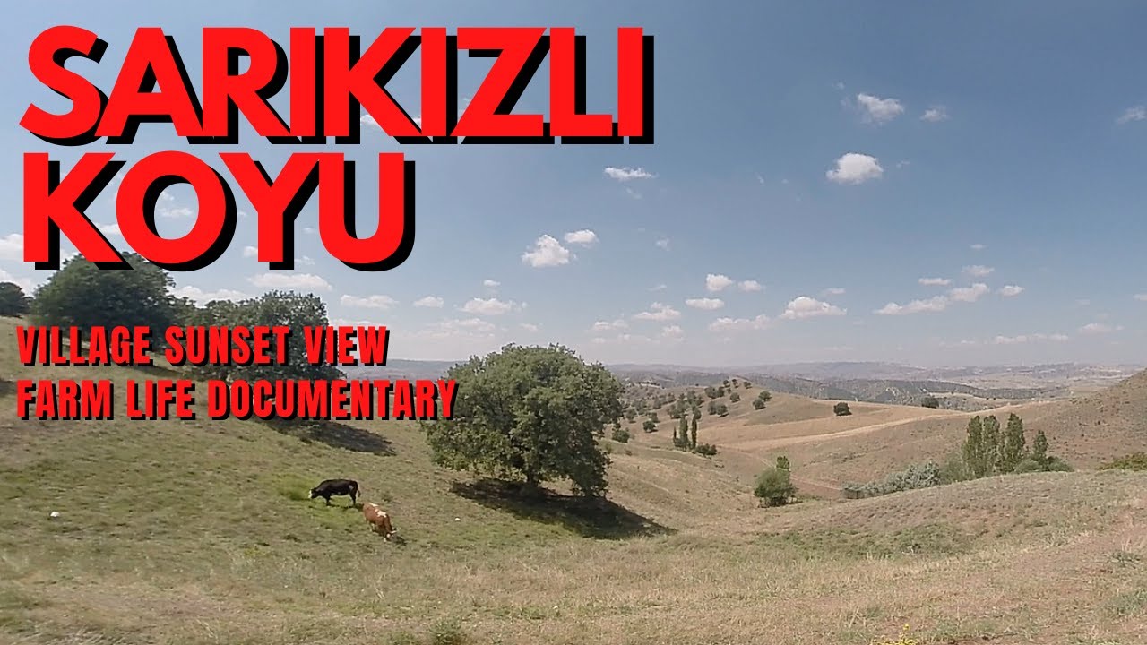 SARIKIZLI KOY | VILLAGE SUNSET VIEW | FARM LIFE DOCUMENTARY