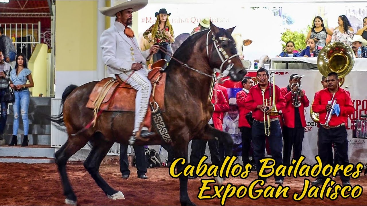 Caballos Bailadores en la EXPOGAN JALISCO [Caballos y Mas]