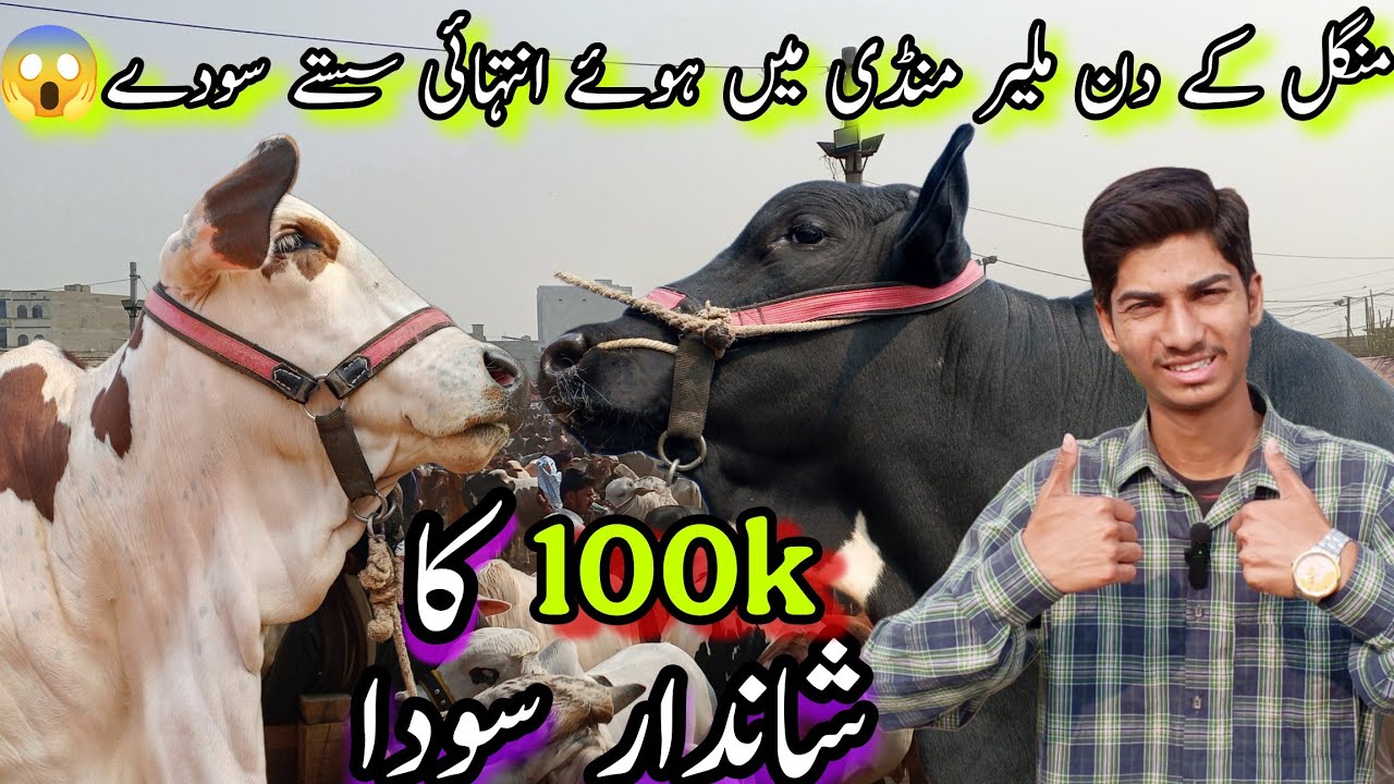 Malir Mandi Ka Zabardast Soda😱| 100k Ka VIP soda🥰| Malir Mandi Latest Rates Updates | 30-Dec-2025 