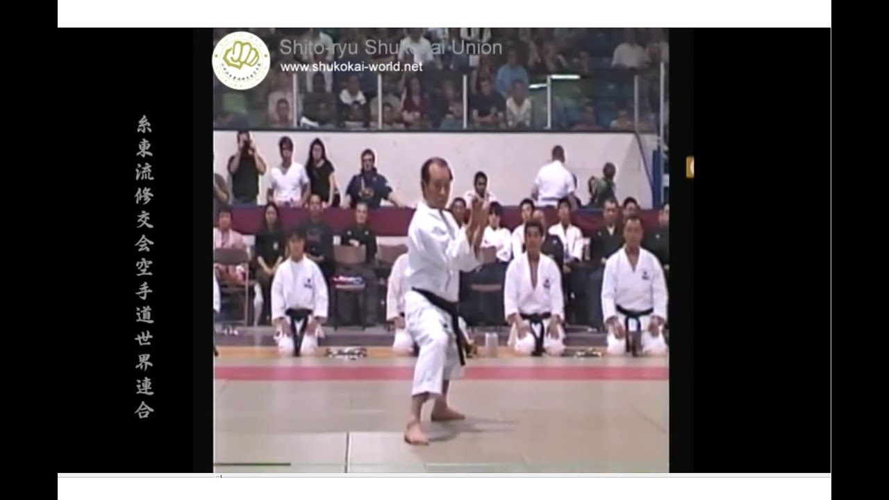 NIPAIPO Kata & Bunkai by Haruyoshi YAMADA Sensei, Sôke (1999, Canada)