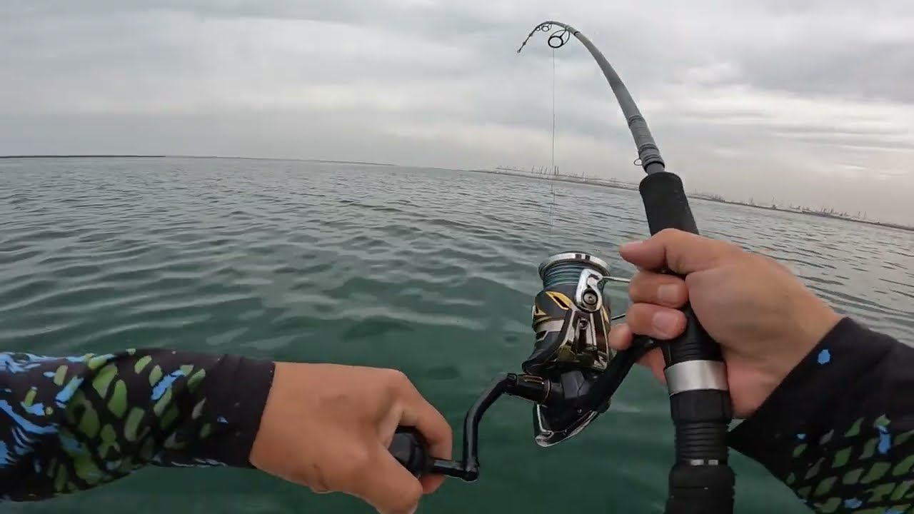 BARRACUDA, QUEENFISH, TUBAR&Atilde;O E UMA VARA QUEBRADA