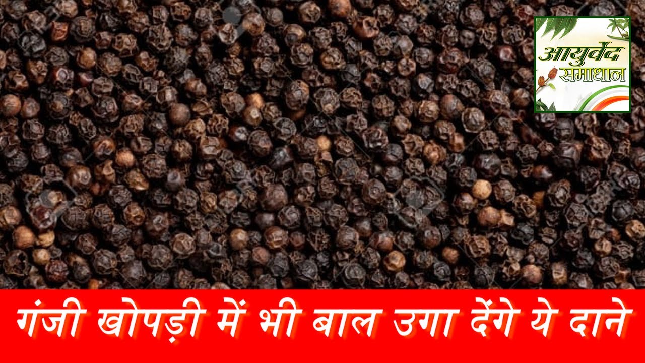 गंजी खोपड़ी में भी बाल उगा देंगे ये दाने// Ayurved Samadhan