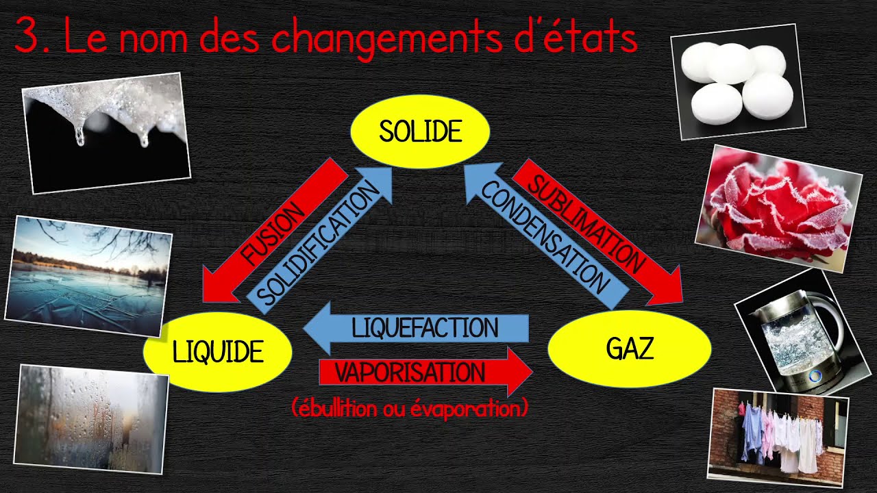Les changements d'états (capsule 113 #12)