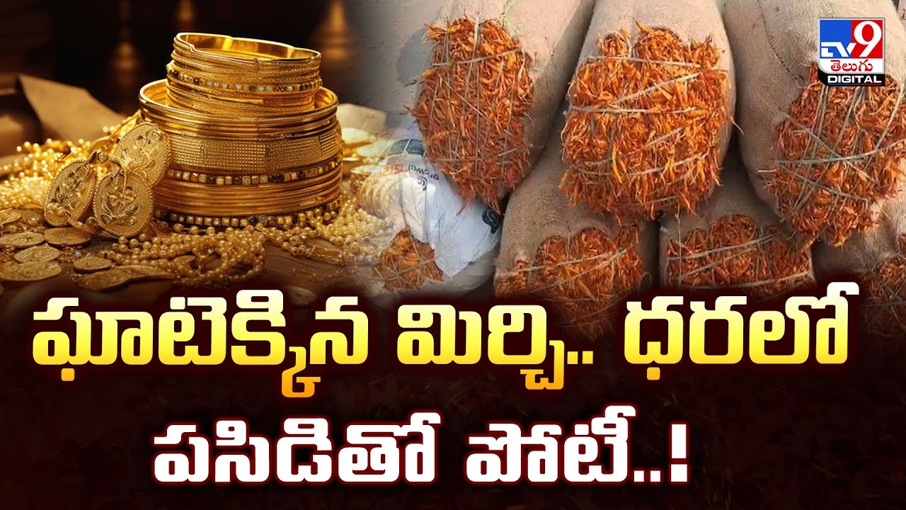 ఘాటెక్కిన మిర్చి.. ధరలో పసిడితో పోటీ..! - TV9