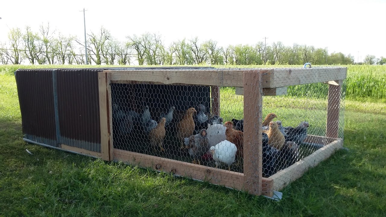 Easy DIY Chicken Tractor