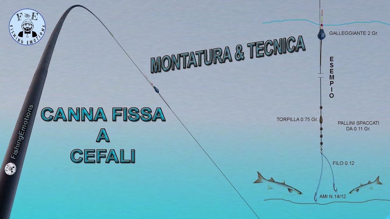 Tutorial - Cefali a canna fissa - Montatura & Tecnica (A modo mio)