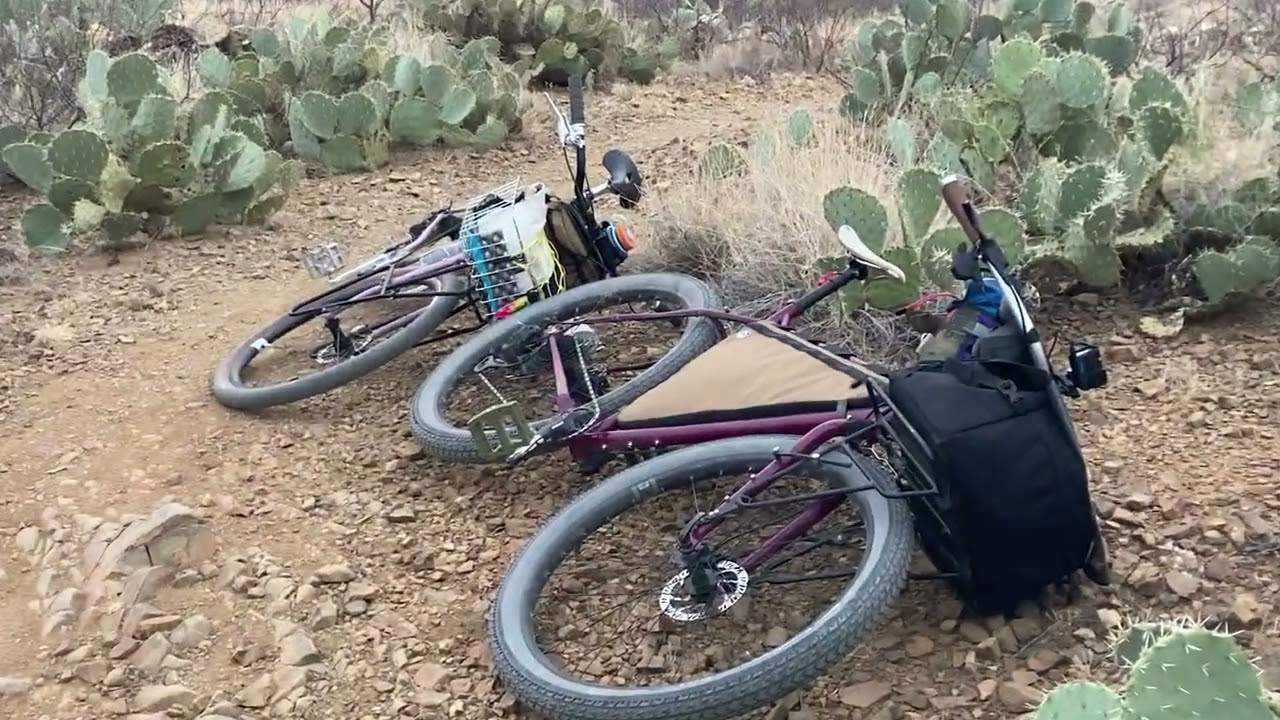 pricklypear ride