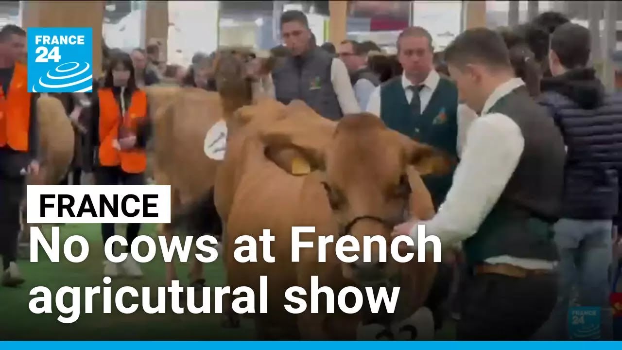 No cows allowed at French agricutural show &bull; FRANCE 24 English