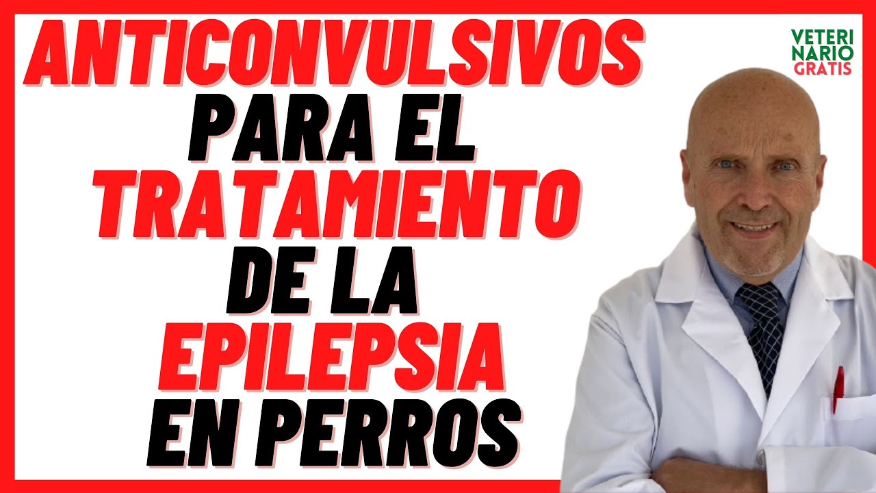 Anticonvulsivos para el Tratamiento de la Epilepsia en Perros  🧡 Fenobarbital,  Bromuro Potásico,