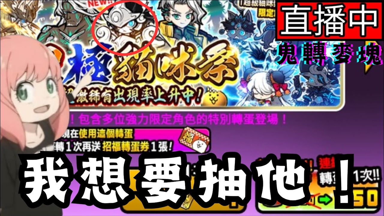 【突發-貓咪大戰爭】各位新年快樂！！！