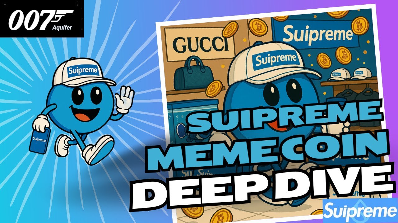 Suipreme Crypto Memecoin 1000xGem on Sui Project Deep Dive