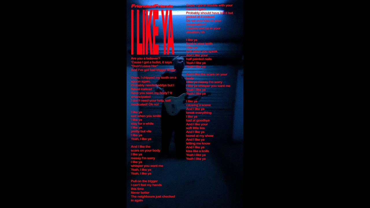 I Like Ya - Friends of Friends (Vertical Visualiser)