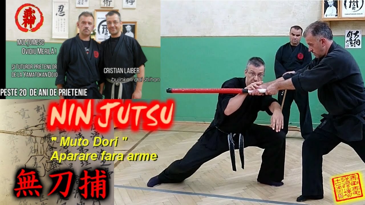 Ninjutsu: Aparare fara arme - Muto Dori  無刀捕 , 20+ de ani de Ninjutsu la Clung Moldovenesc