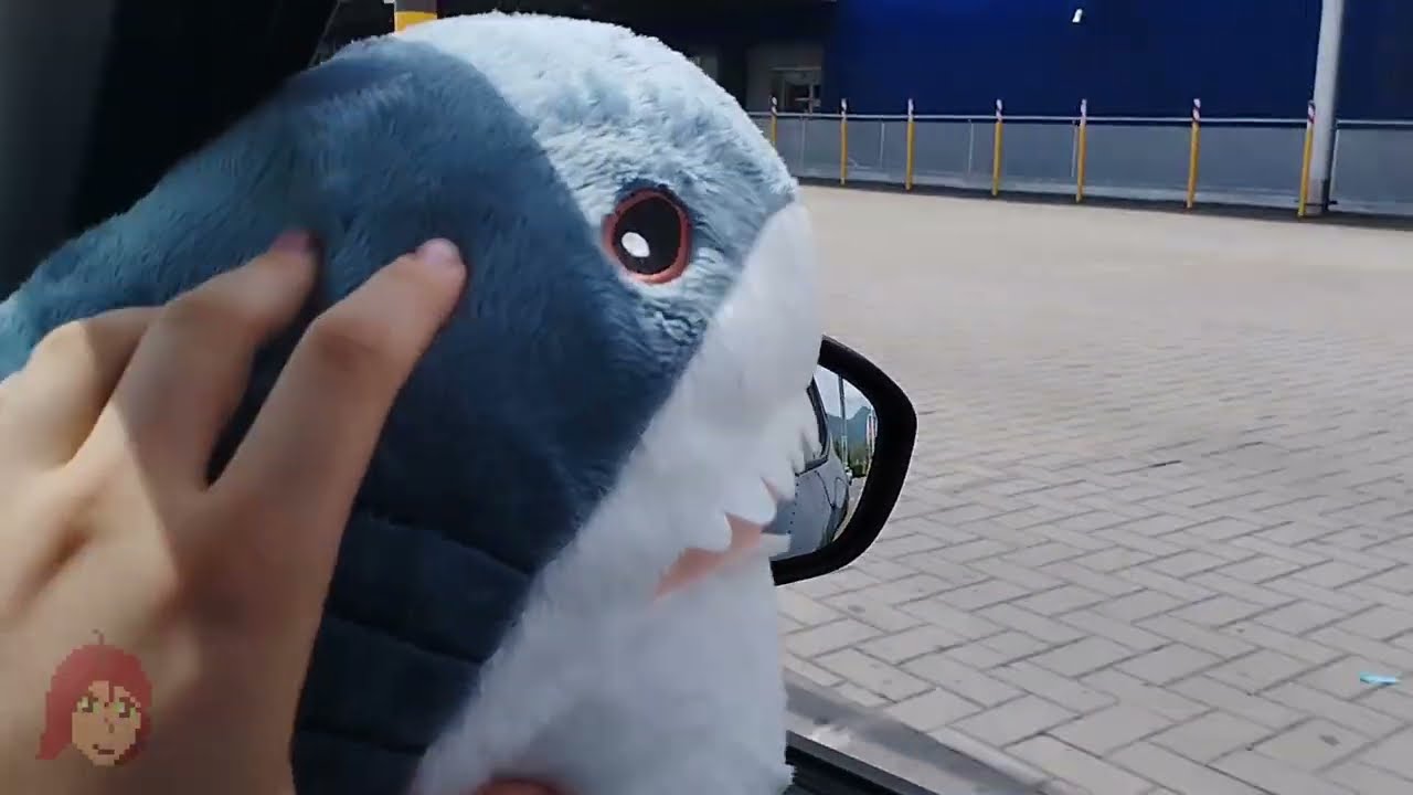 The quest for Blåhaj