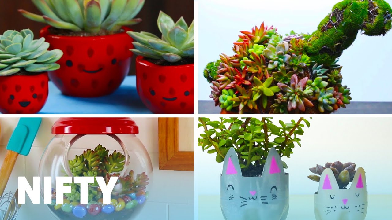 9 Planting Projects to Brighten Up Your House