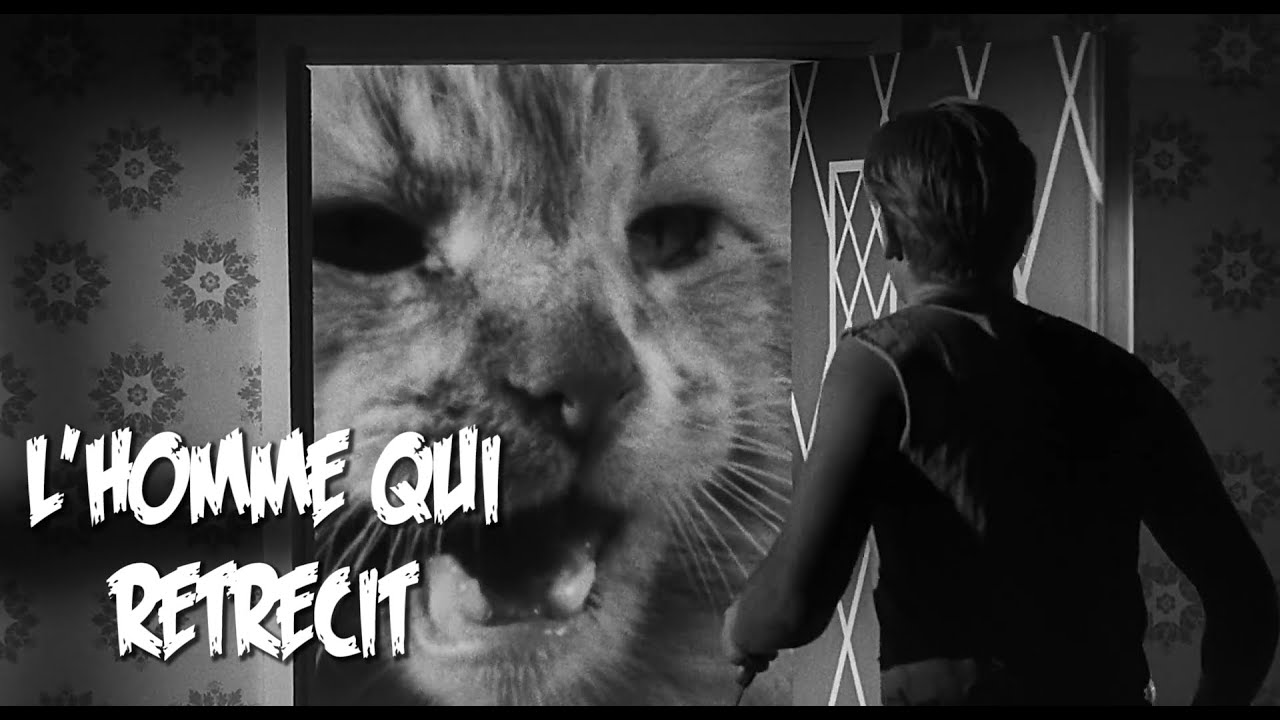 L'HOMME QUI RÉTRÉCIT / THE INCREDIBLE SHRINKING MAN (Jack Arnold, 1957)