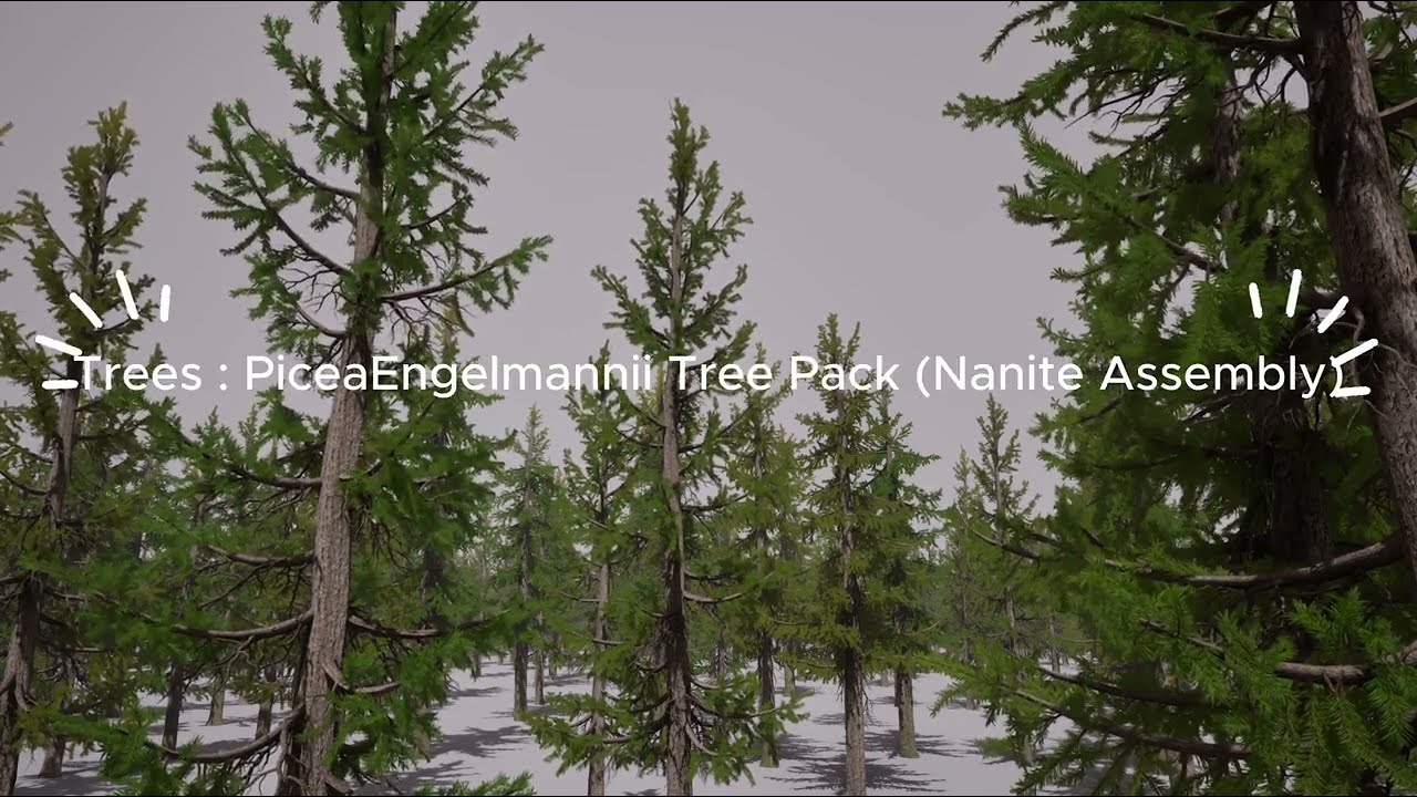 Unreal Nanite Assembly :  PiceaEngelmannii Tree Pack