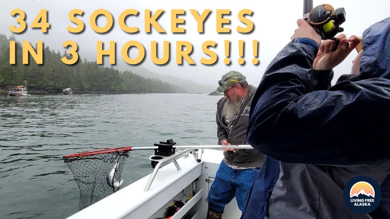 Sockeye Salmon Fishing in Alaska's Prince William Sound