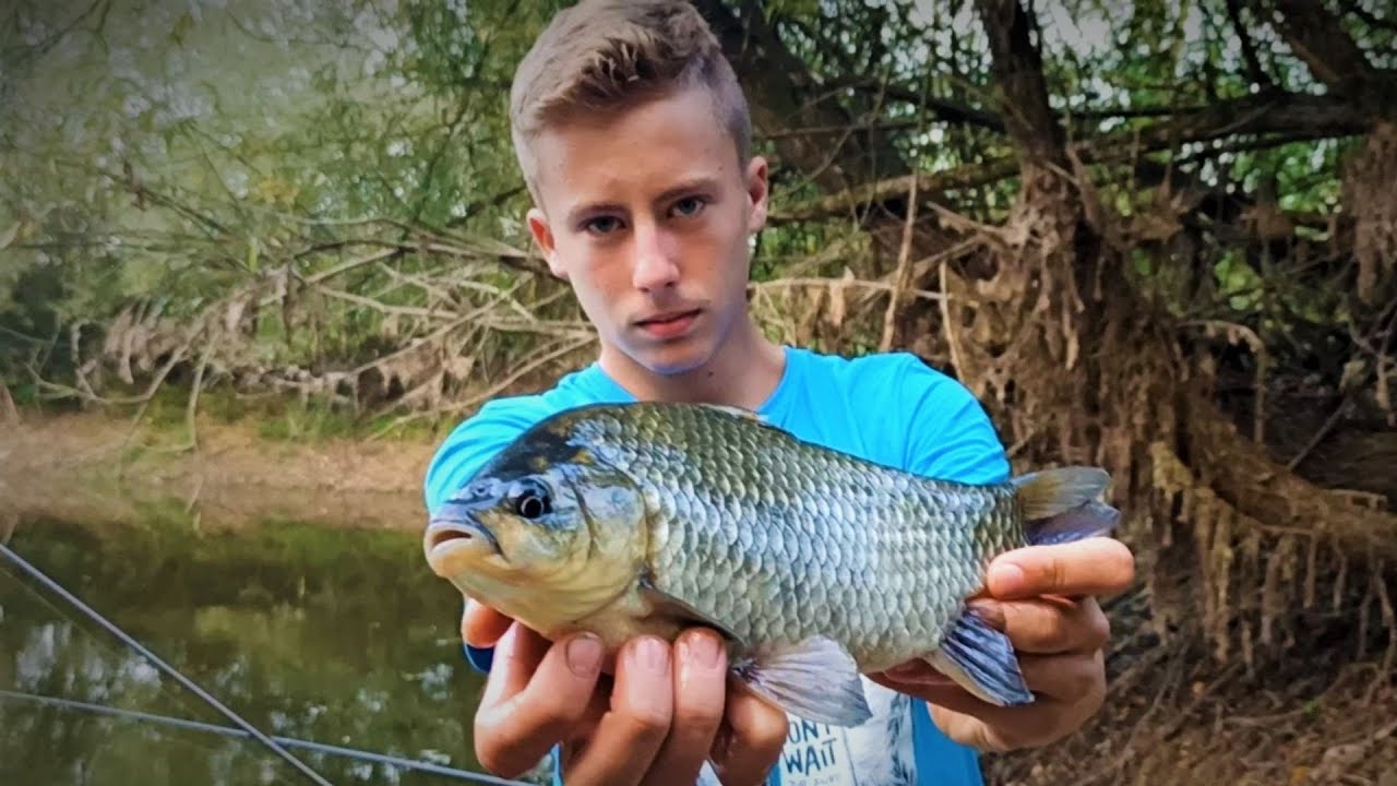 Pecanje Babuske i Sarana na 