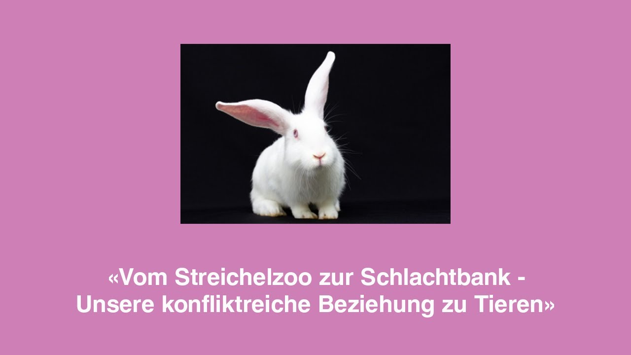 Podium im Stadthaus: «Vom Streichelzoo zur Schlachtbank - Unsere konfliktreiche Beziehung zu Tieren»
