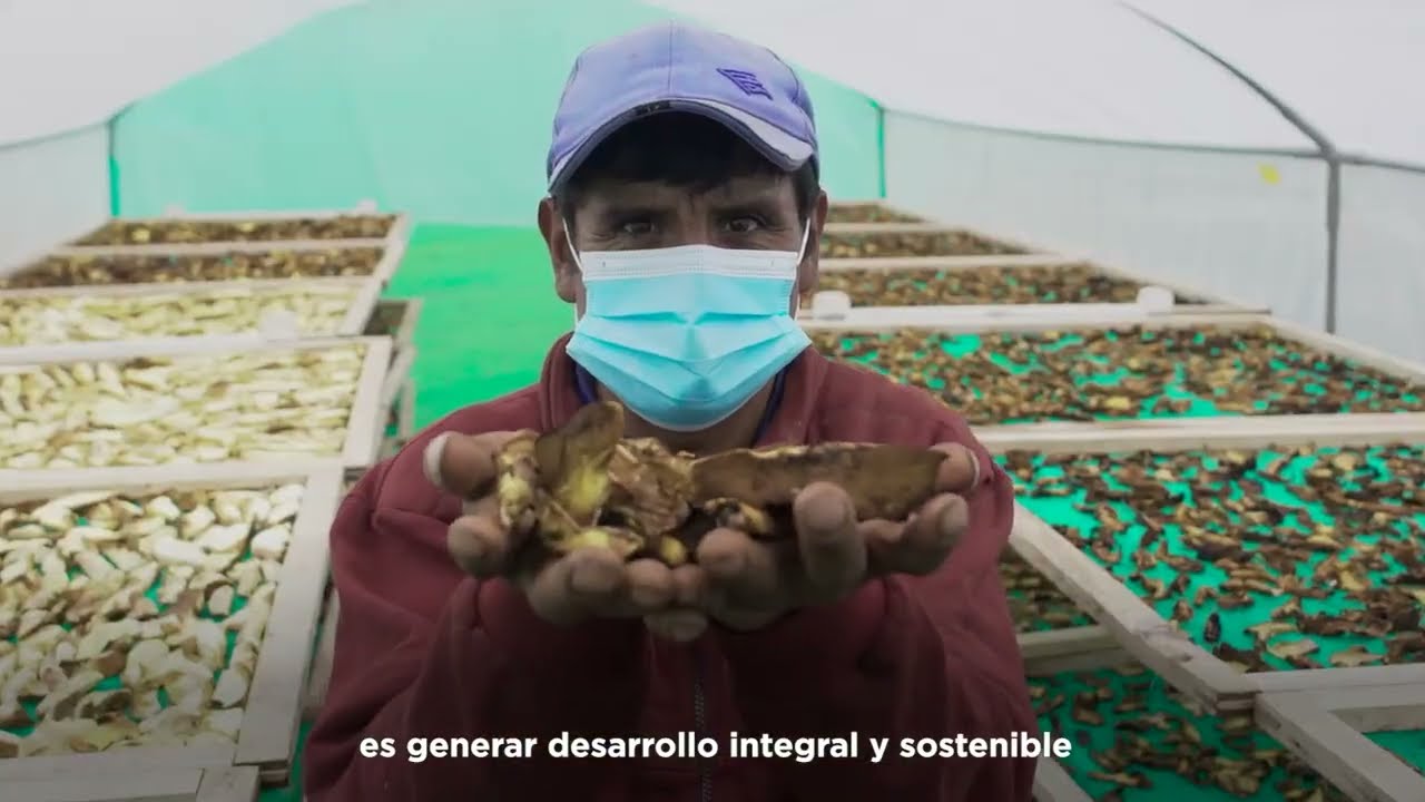 El nacimiento de RURANA, Centro de Innovaci&oacute;n Social de Asociaci&oacute;n Pataz