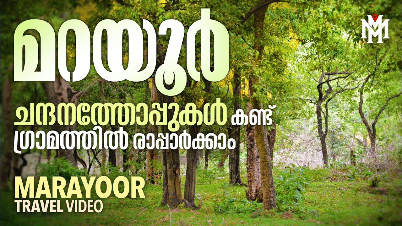 ചന്ദനത്തോപ്പുകൾ കണ്ടു ഗ്രാമത്തിൽ രാപ്പാർക്കാം | Munnar | Marayoor | Kanthalloor | MM Travel Guide
