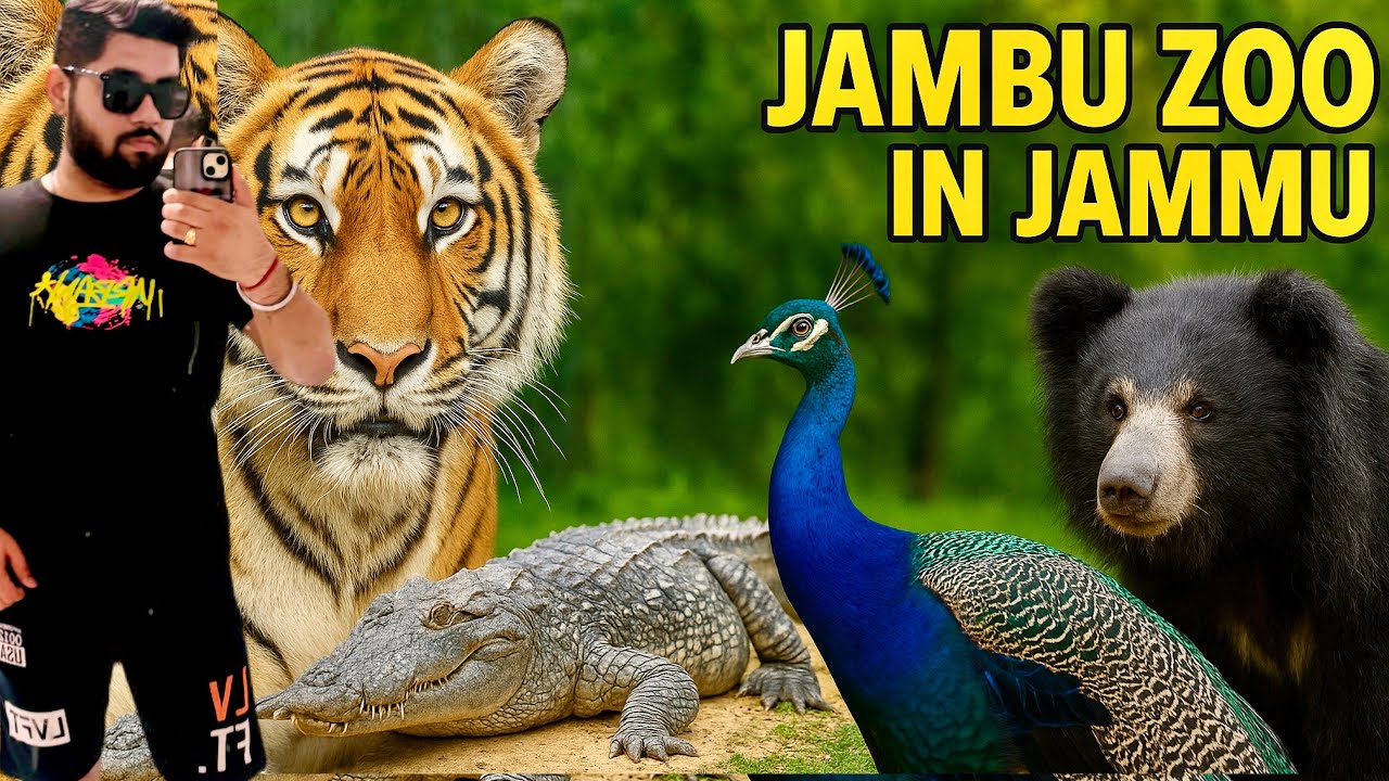 Jambu Zoo in Jammu | Amazing Animals You Must See!