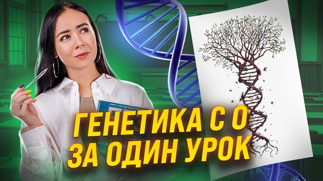 Генетика с нуля | Биология ЕГЭ
