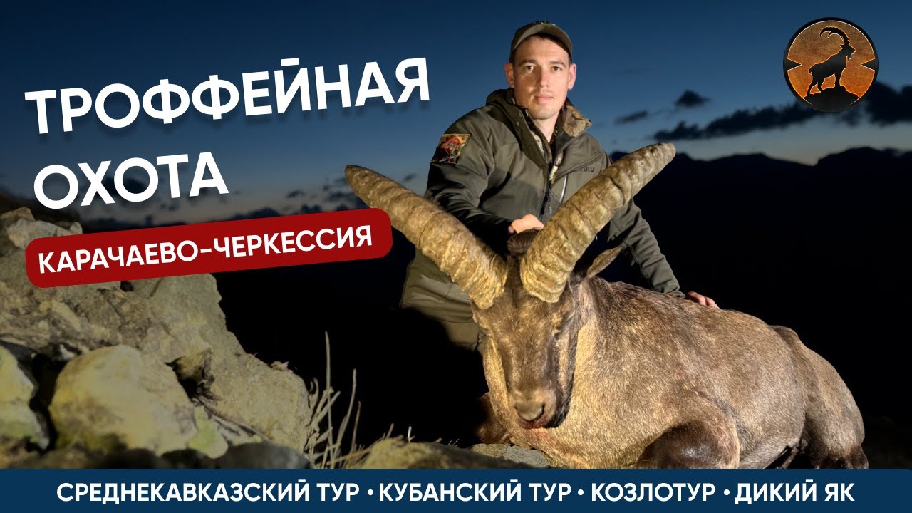 ТРОФЕЙНАЯ ОХОТА НА ТУРОВ И ДИКОГО ЯКА В КАРАЧАЕВО-ЧЕРКЕСИИ