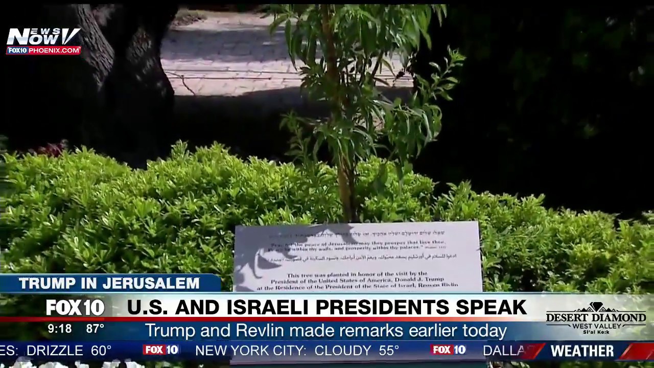 WOW: Tree Planted in Jerusalem in Honor of President Trump's Historic Visit (FNN)