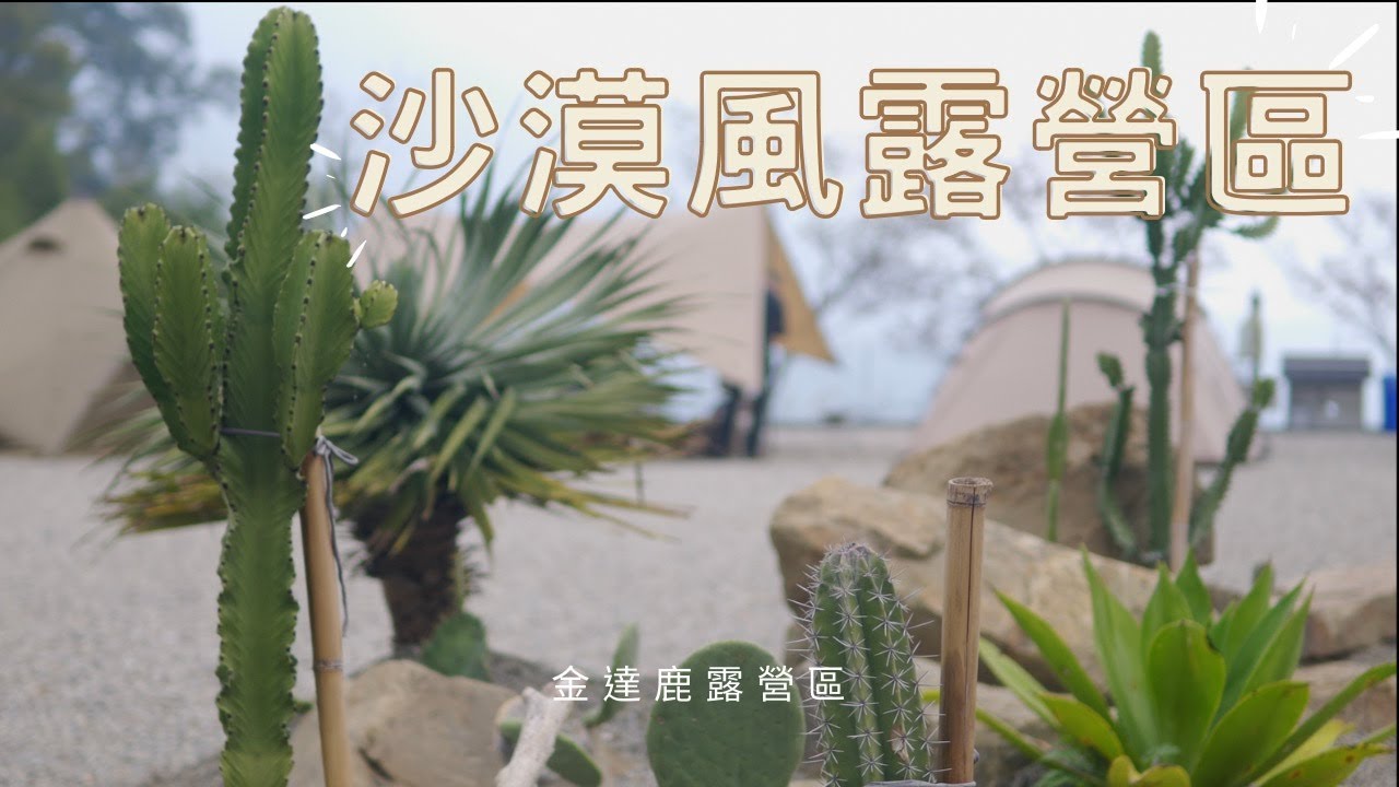 充滿仙人掌的沙漠風露營區｜金達鹿露營區｜露營食譜｜熱壓三明治｜美式漢堡｜熱紅酒｜CampingVlog