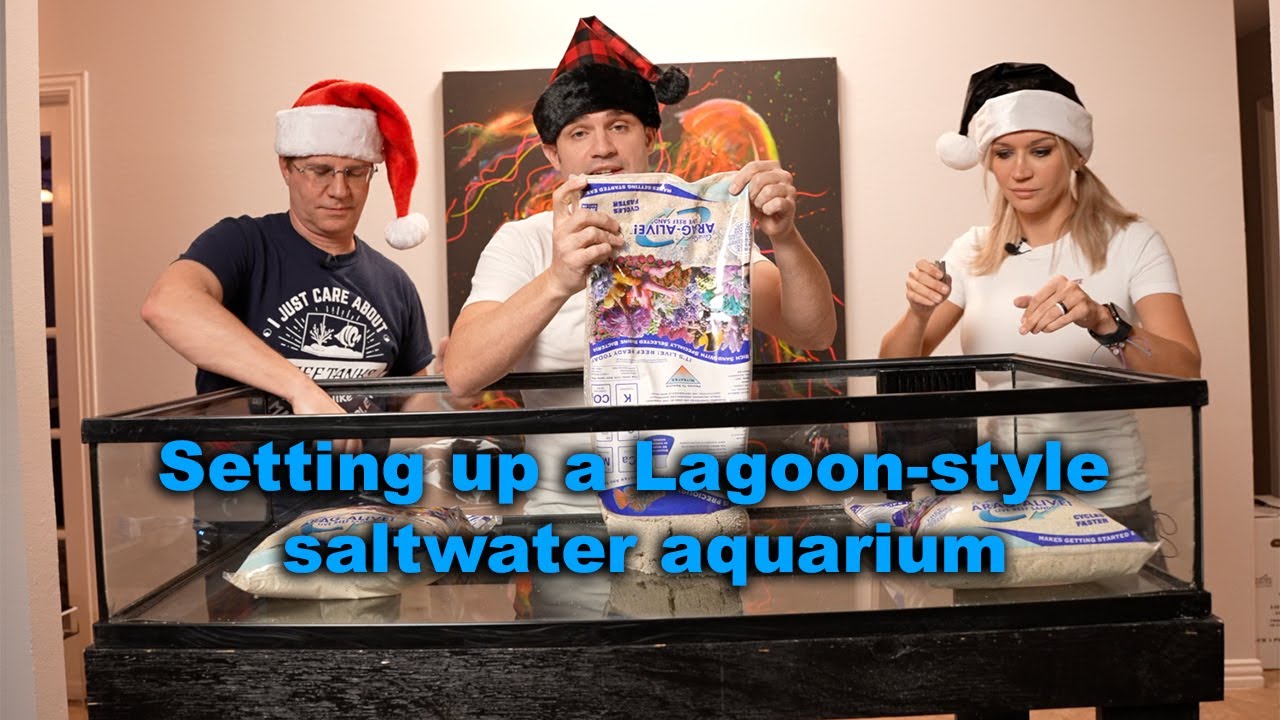 I joined Fritz to set up this easy lagoon reef aquarium!