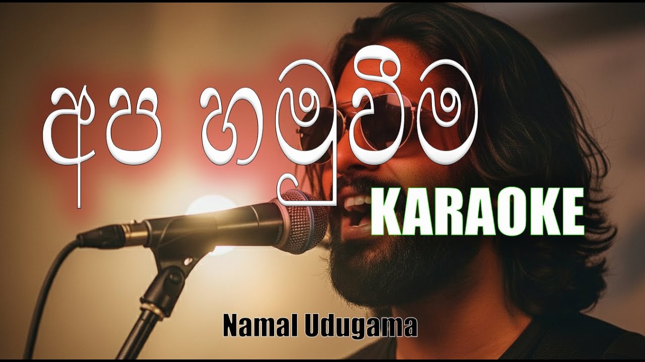 Apa Hamuweema | අප හමුවීම karaoke (namal udugama)