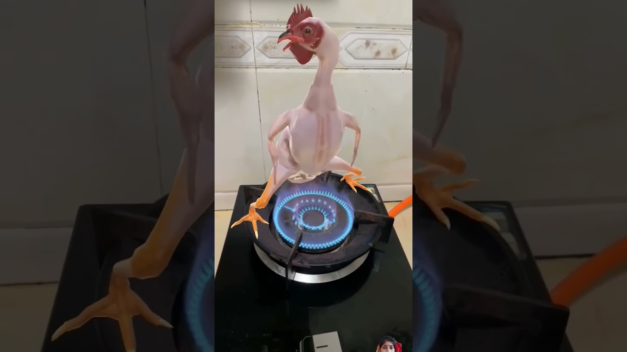 thumak thumak 👇😆😆#annu #shakya #funny #inderr #comedy #birds #dance #animals #trending #inderarya