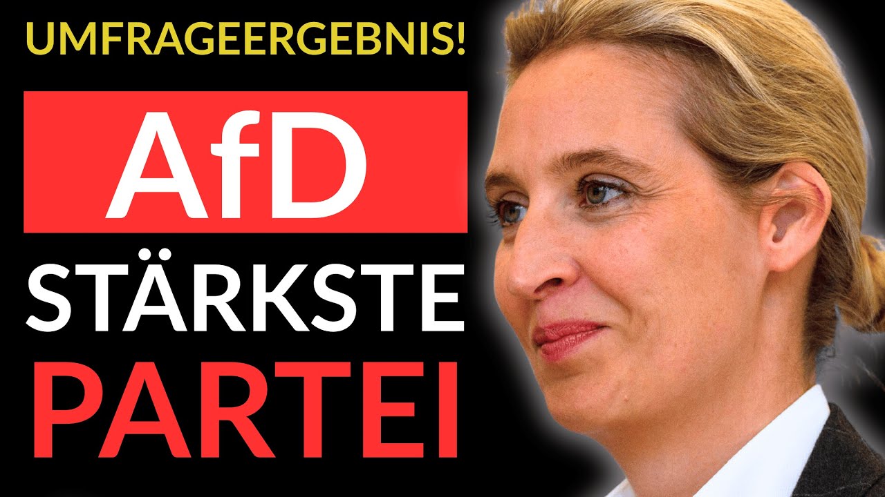 💥EILMELDUNG! AfD ZERLEGT SCHWARZ-ROT KOMPLETT💥