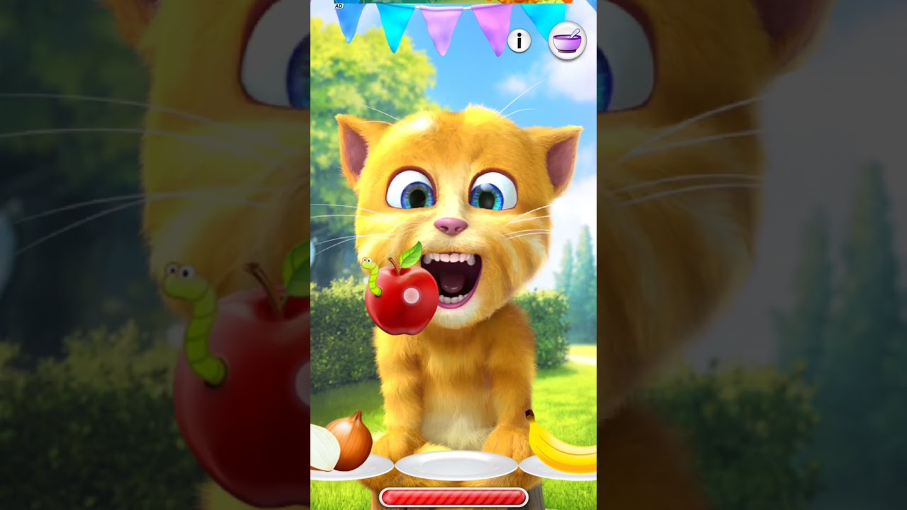 talking ginger gameplay 😂😂 funny cat video 🐈 #talkingtom #cat #shorts