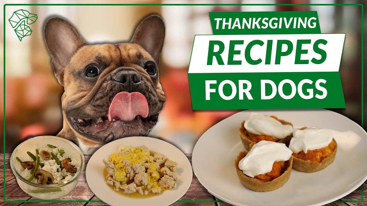 3 VET-APPROVED Thanksgiving Recipes Your Dog Will LOVE! | Ultimate Pet Chef