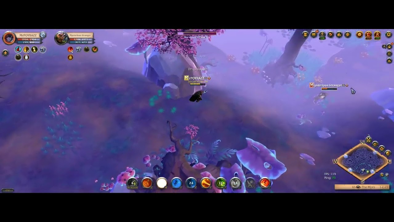 Albion online Skystrider Pvp #2
