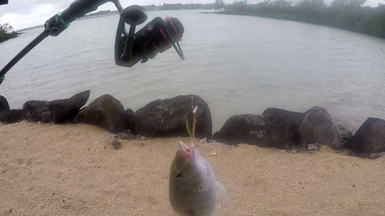 Shore casting with Duo Spearhead Ryuki 45S