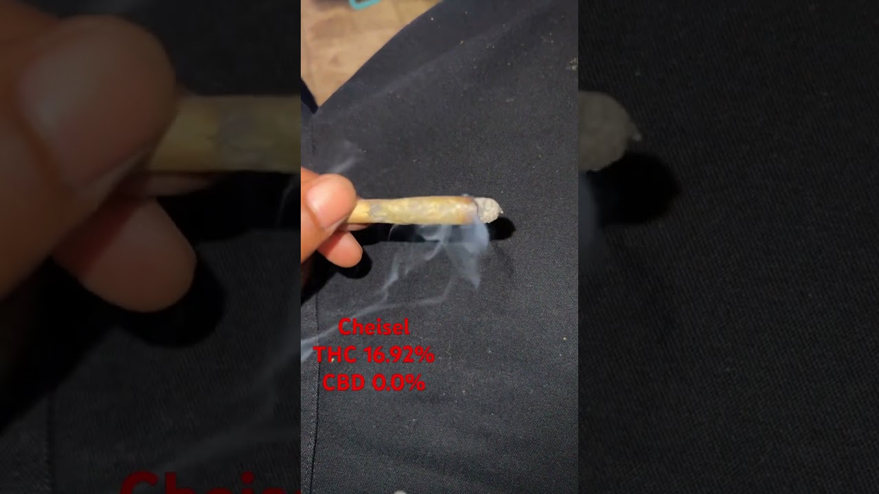 1 gram joint of GDF  Cheisel