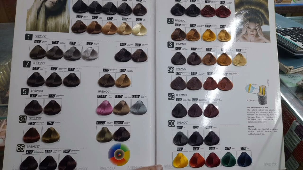 Bremod Shades Card - hair color Shade Card