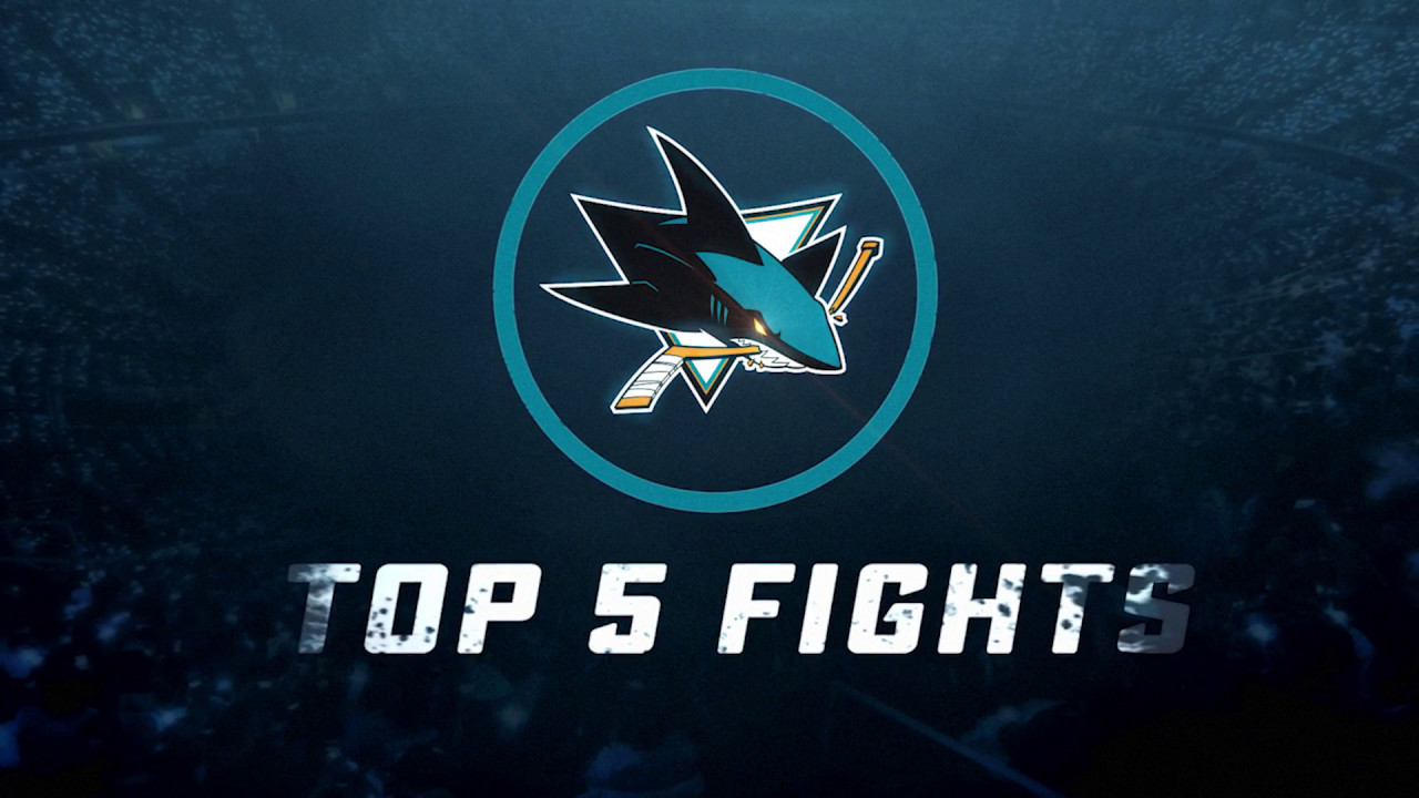 Top 5 Fights of 2016-17