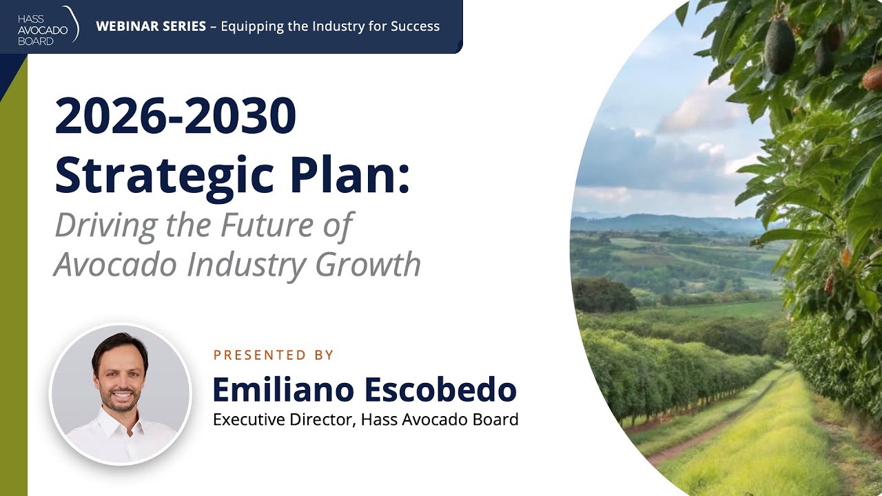 2026-2030 Strategic Plan: Driving the Future of Avocado Industry Growth