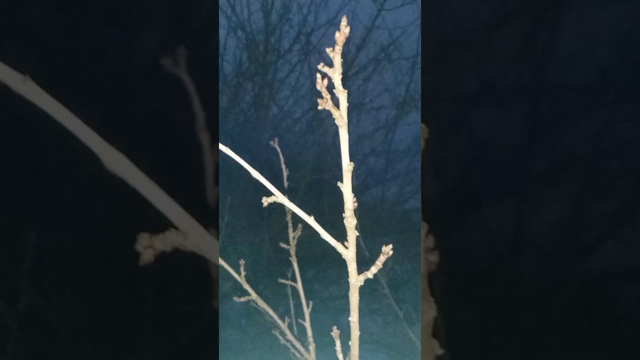 Забрали всё что можно и нельзя‼️У меня неожиданный гость.