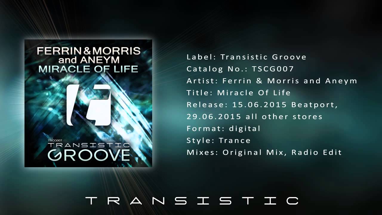 Ferrin & Morris and Aneym - Miracle Of Life (Original Mix)