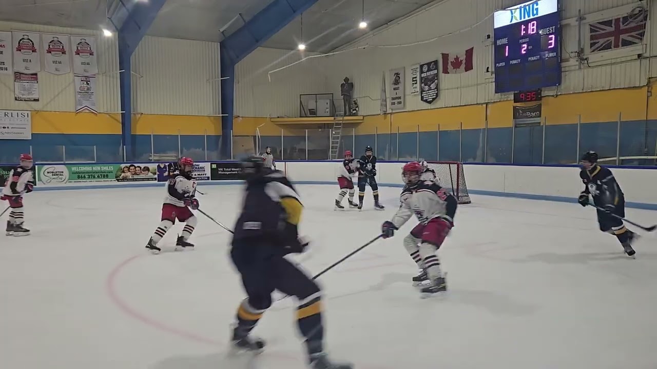 2026-01-31 vs Porcupine