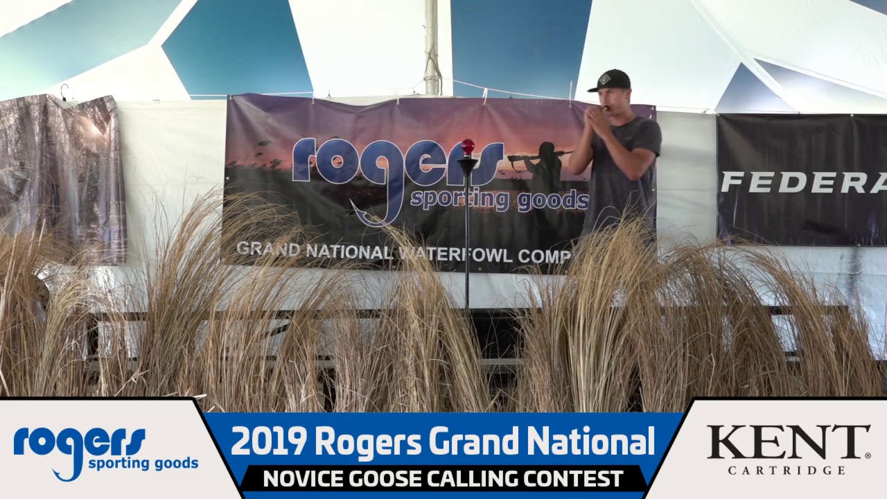 2019 Novice Goose